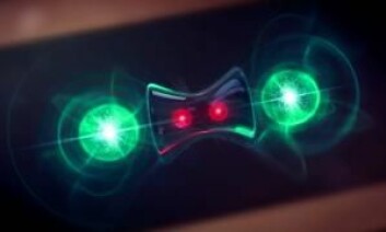 Slik kan man forestille seg at kvantesystemet ser ut. De røde berylliumatomene er filtret sammen, mens de grønne magnesiumatomene frigir varme til omgivelsene. (Foto: (Tegning: Bertram/Motion Forge/NIST))