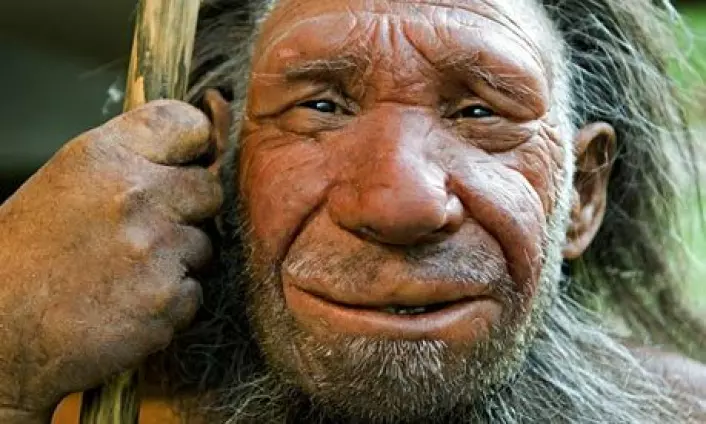 Neandertaleren "N" er en hyggelig kar som bor i museet i Neanderthal i Tyskland. (Foto: Neanderthal Museum, Mettmann)
