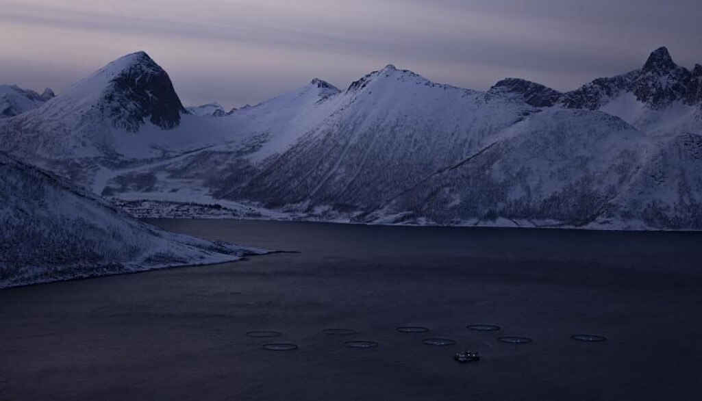 Oppdrettsnæringen er sentral i Nord-Norge. Men selv om den er naturbasert, er den avhengig av blant annet IKT. Oppdrettsnæringen er sentral i Nord-Norge. Men selv om den er naturbasert, er den avhengig av blant annet IKT.