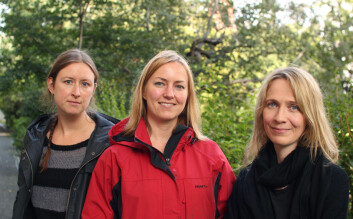 Tre av de fire UiB-forskerne som står bak kartleggingen av status for norsk språkteknologi. Gyri Losnegaard, Gunn Inger Lyse og Anje Müller Gjesdal. Koenraad De Smedt var ikke til stede da bildet ble tatt. (Foto: Jens Helleland Ådnanes/UiB) Tre av de fire UiB-forskerne som står bak kartleggingen av status for norsk språkteknologi. Gyri Losnegaard, Gunn Inger Lyse og Anje Müller Gjesdal. Koenraad De Smedt var ikke til stede da bildet ble tatt. (Foto: Jens Helleland Ådnanes/UiB)