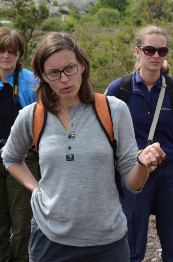 Professor Vigdis Vandvik på Lyngheinettverkets samling i Ytre Hvaler nasjonalpark. (Foto: Morten Günther) Professor Vigdis Vandvik på Lyngheinettverkets samling i Ytre Hvaler nasjonalpark. (Foto: Morten Günther)