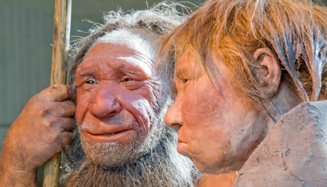 Neandertalerne ga oss bedre immunforsvar