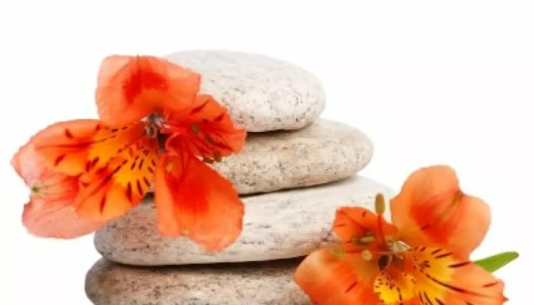 Terapi med blomster og stein