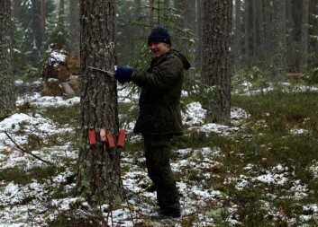 Avdelingsingeniør Robert Andersen, Skog og landskap, er ute på felt nr. 7 for å vurdere skadene som Dagmar gjorde i romjula og se hva som står igjen. (Foto: Stig Støtvig, Skog og landskap) Avdelingsingeniør Robert Andersen, Skog og landskap, er ute på felt nr. 7 for å vurdere skadene som Dagmar gjorde i romjula og se hva som står igjen. (Foto: Stig Støtvig, Skog og landskap)