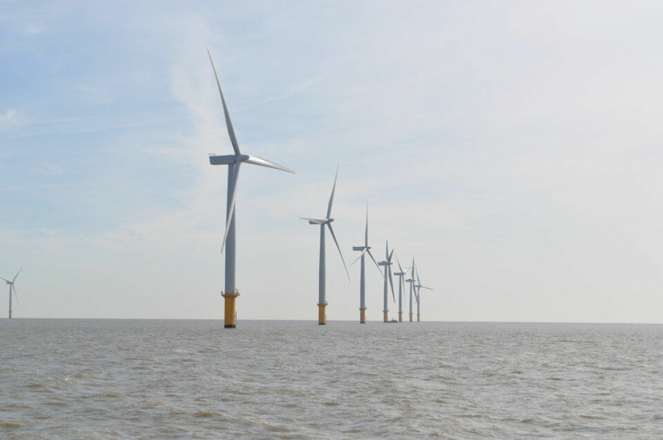 Britane ligg langt framme i utbygging av offshore vindkraft. Her frå Gunfleet Sands offshore vindkraftverk. (Foto: Ashley Dace/Wikipedia Commons)
