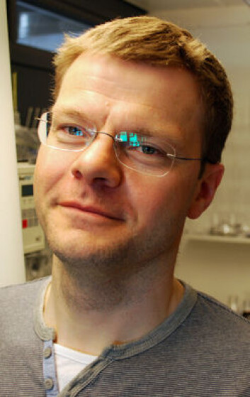 Torkjel M. Sandanger kan ikke si at de høye tungmetall-konsentrasjonene i naturen rammer mennesker i nord. (Foto: Helge M. Markusson, Framsenteret) Torkjel M. Sandanger kan ikke si at de høye tungmetall-konsentrasjonene i naturen rammer mennesker i nord. (Foto: Helge M. Markusson, Framsenteret)