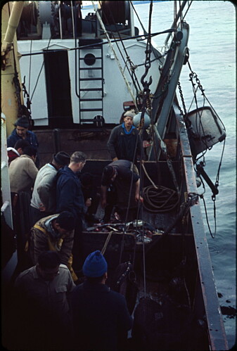 Linefiske og flere fartøy endret fiskeriet på 60-tallet. Linefiske og flere fartøy endret fiskeriet på 60-tallet.