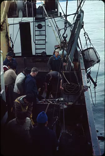 Linefiske og flere fartøy endret fiskeriet på 60-tallet.
