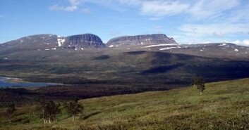 Skoggrensen i nordområdene forventes å trekke lenger nord i takt med varmere klima. (Foto: Sigrun Aune) Skoggrensen i nordområdene forventes å trekke lenger nord i takt med varmere klima. (Foto: Sigrun Aune)