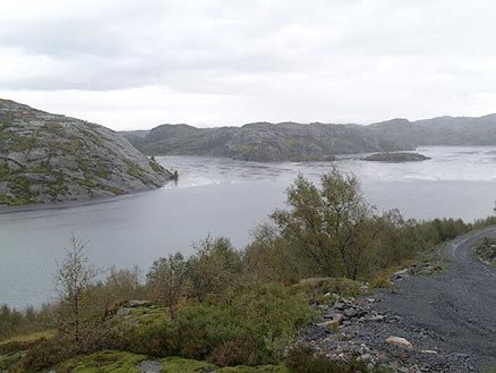"Foto fra deponiet på land" "Foto fra deponiet på land"