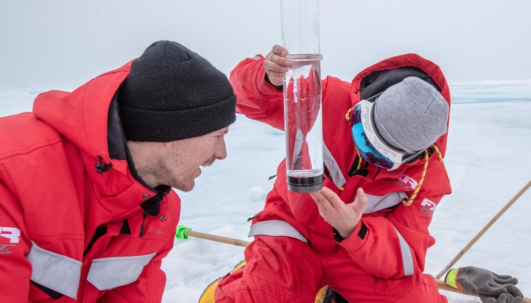 Oliver og forskerteamet hans ser på biologien i vann og is i Polhavet Oliver og forskerteamet hans ser på biologien i vann og is i Polhavet