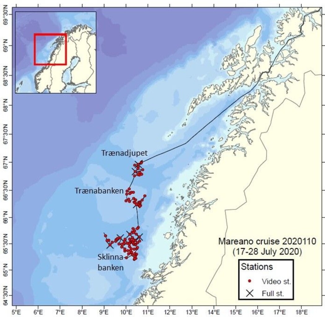 <b>Figur 1</b>. Et hundretalls lokaliteter er prøvetatt og videfilmet fra FF G.O. Sars under MAREANOs tokt på kontinentalsokkelen utenfor Nordland og Trøndelag. <b>Figur 1</b>. Et hundretalls lokaliteter er prøvetatt og videfilmet fra FF G.O. Sars under MAREANOs tokt på kontinentalsokkelen utenfor Nordland og Trøndelag.