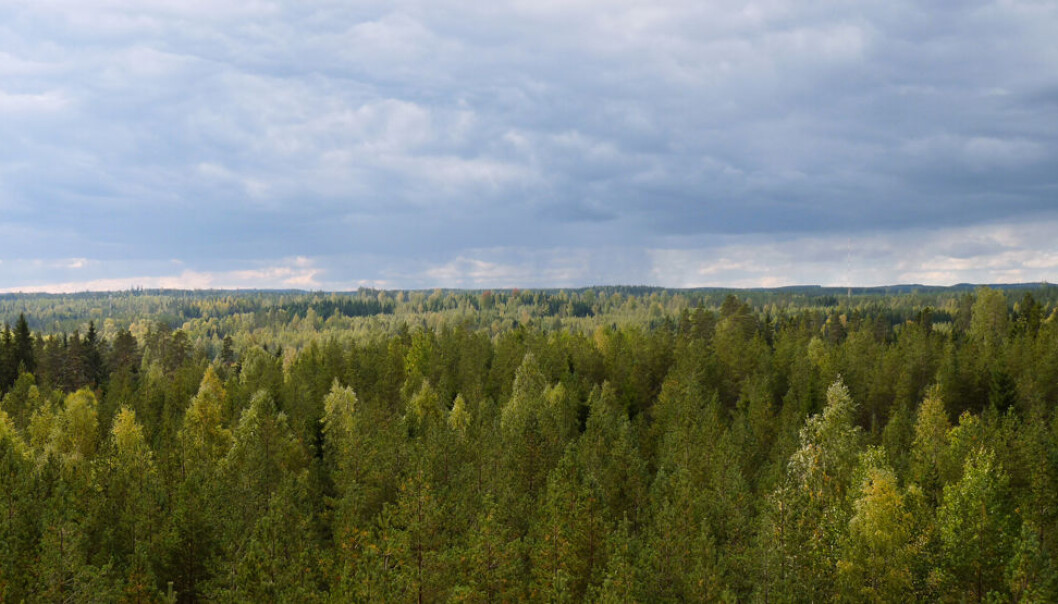 Målingene av luft ble gjort i her i Hyytiälä, sør i Finland. Juho Aalto Målingene av luft ble gjort i her i Hyytiälä, sør i Finland. Juho Aalto