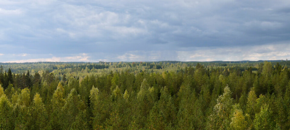 Målingene av luft ble gjort i her i Hyytiälä, sør i Finland. Juho Aalto