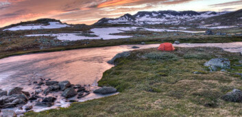Før bodde fisketurister i telt. Nå bor stadig flere i høystandardhytter langs elvebreddene. (Foto: Shutterstock) Før bodde fisketurister i telt. Nå bor stadig flere i høystandardhytter langs elvebreddene. (Foto: Shutterstock)