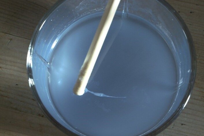 DNA blir felt ut som eit slim med hjelp av isopropanol. (Foto: NRK) DNA blir felt ut som eit slim med hjelp av isopropanol. (Foto: NRK)