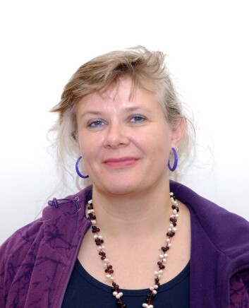 Helsetjenesten er opptatt av diagnoser, ikke pasienter, mener Gro Berntsen, forsker ved NST. (Foto: Jan Fredrik Frantzen) Helsetjenesten er opptatt av diagnoser, ikke pasienter, mener Gro Berntsen, forsker ved NST. (Foto: Jan Fredrik Frantzen)