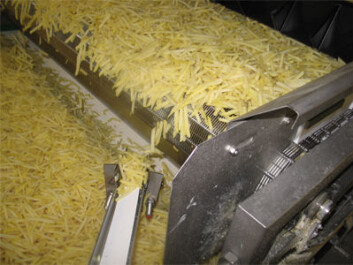 Poteter kan behandles med melkesyrebakterier slik at det dannes mindre akrylamid ved fritering. Foto: Zeracryl AS Poteter kan behandles med melkesyrebakterier slik at det dannes mindre akrylamid ved fritering. Foto: Zeracryl AS