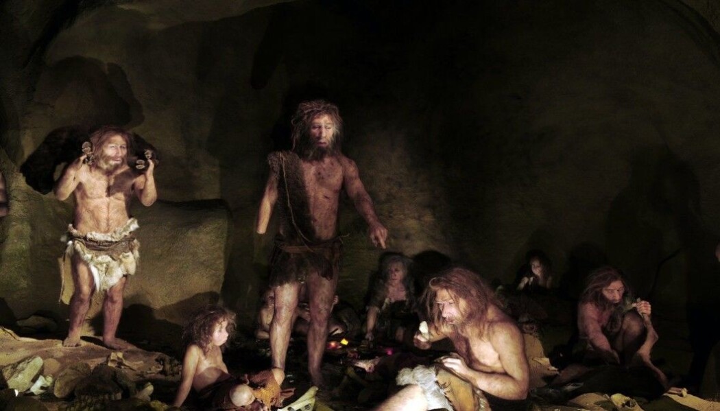 Forskere har oppdaget at de som har arvet en genvariant fra neandertalere har lavere smerteterskel. Forskere har oppdaget at de som har arvet en genvariant fra neandertalere har lavere smerteterskel.