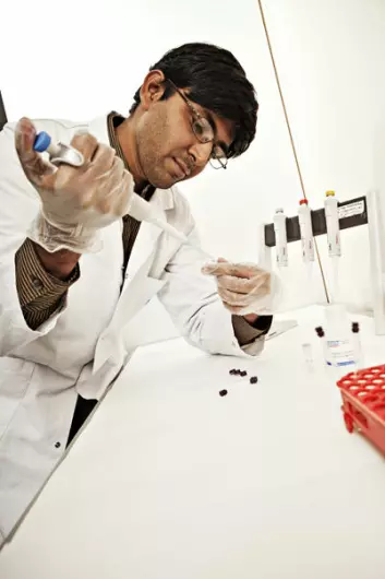 Fleire stipendiatar arbeider ved MR Metabolomics Lab. Riyas Vettukattil forskar i hovudsak på kroppsvæsker. (Foto: Geir Mogen)