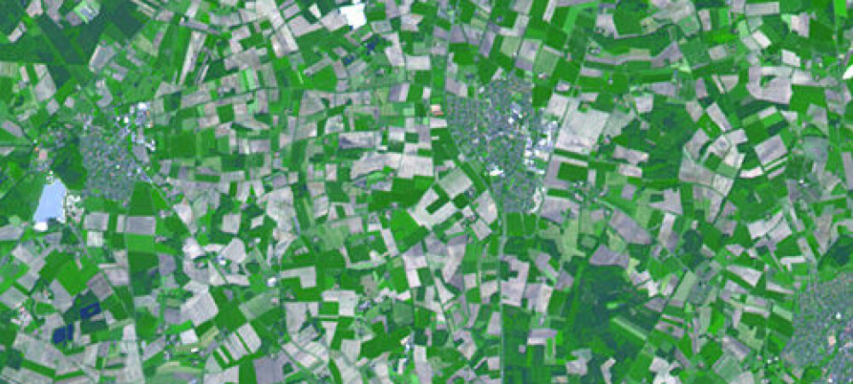 Jordbruk i det nordvestlige Tyskland sett fra rommet. NASA/GSFC/METI/ERSDAC/JAROS og ASTER Science Team