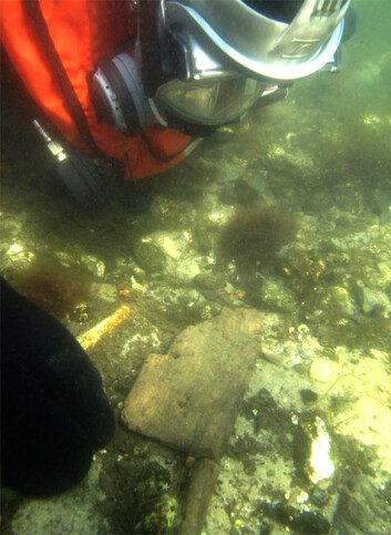 Arkeologene fisket opp åren iført dykkerutstyr. (Foto: Claus Skriver) Arkeologene fisket opp åren iført dykkerutstyr. (Foto: Claus Skriver)