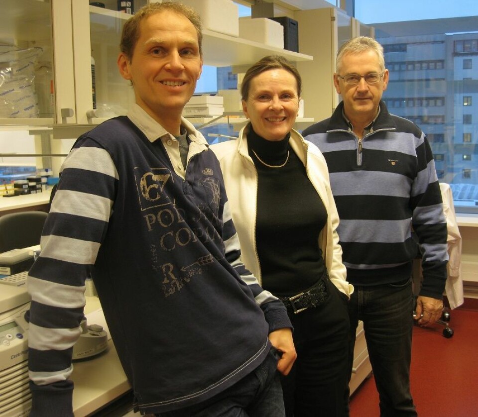 Professor Ragnhild A. Lothe sammen med sine samarbeidspartnere forsker Rolf Inge Skotheim (t.v.), også ved Institutt for kreftforskning, OUS, og professor og kliniker Arild Nesbakken (t.h.) ved Gastrokirurgisk avdeling, OUS. Foto: privat
