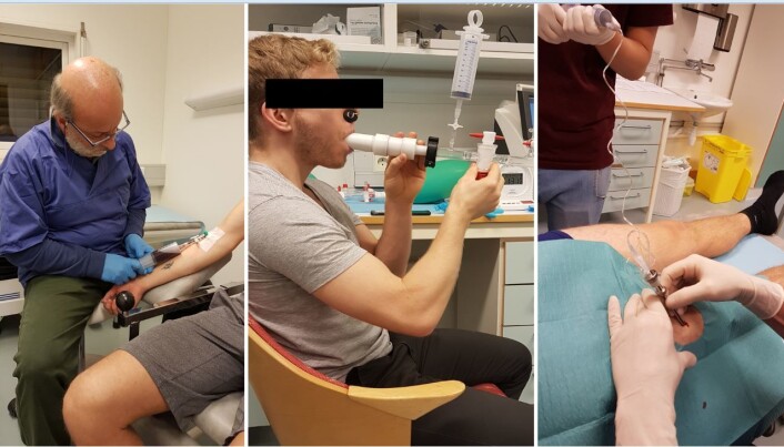 Tapping av blod, måling av blodvolum og biopsiar var noko av det dei frivillige var med på for å gje svar på spørsmåla om maksimalt oksygenopptak. Tapping av blod, måling av blodvolum og biopsiar var noko av det dei frivillige var med på for å gje svar på spørsmåla om maksimalt oksygenopptak.