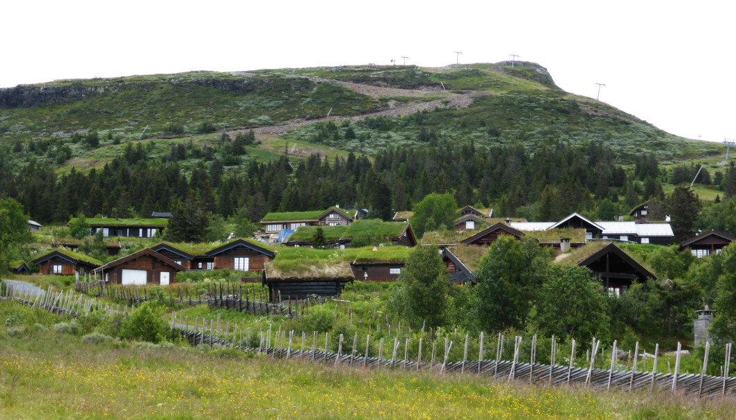 Har du leid hytte i sommer? Forskere ønsker nå å vite hvorfor. Eller hvorfor ikke. Har du leid hytte i sommer? Forskere ønsker nå å vite hvorfor. Eller hvorfor ikke.