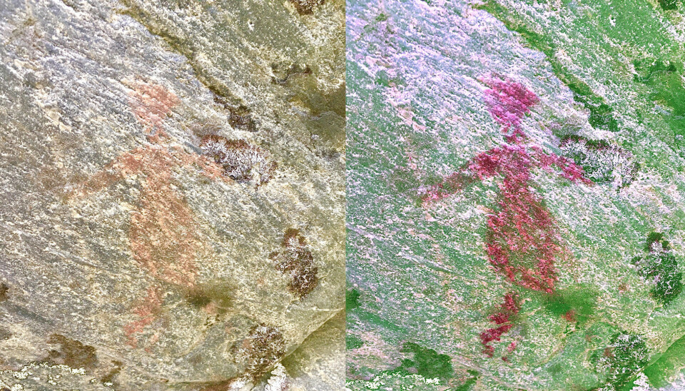 Bildet viser en menneskefigur i både naturlige farger (venstre) og med filter (høyre)
