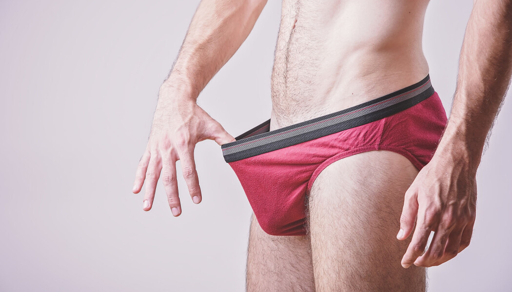 Penis har sin egen bakterieflora. Den kan bidra til at kvinner utvikler bakteriell vaginose, ifølge en ny studie. Penis har sin egen bakterieflora. Den kan bidra til at kvinner utvikler bakteriell vaginose, ifølge en ny studie.
