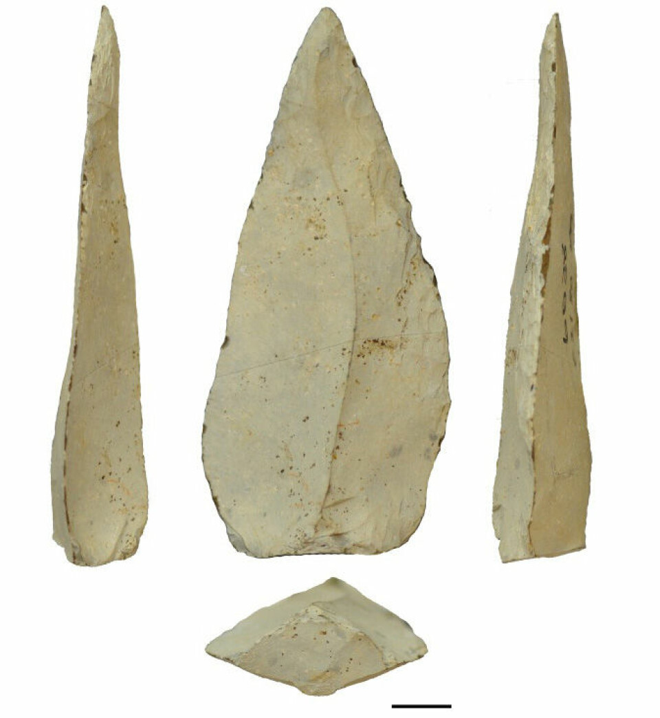 500 000 år gamle spydspisser av stein fra utgravningsstedet Kathu Pan 1 i Sør-Afrika. (Foto: Jayne Wilkins. University of Toronto)