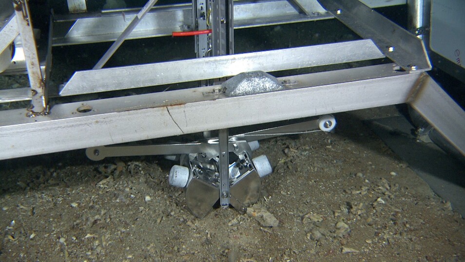 «To fluer i ett smekk»; en ørliten fjernstyrt grabb montert på Mareanos videorigg «Chimaera» gir oss både prøver av bunnsedimenter og video-data i samme operasjon. Her tar grabben er jafs av havbunnen etter at biologene og geologene om bord i F/F G.O. Sars har trykket på utløsningsknappen.