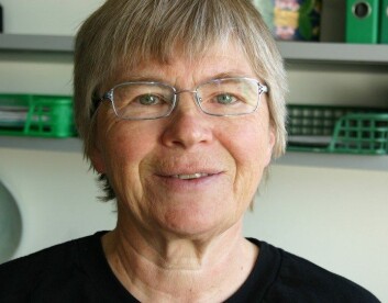 Kirsti Malterud. (Foto: Ida Irene Bergstrøm) Kirsti Malterud. (Foto: Ida Irene Bergstrøm)