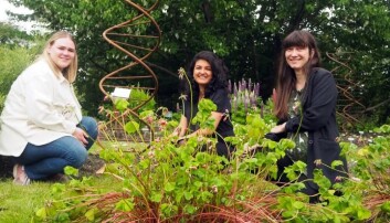 Forskerne Mari Elisabeth Engelstad (t.v.), Maria Ariza Salazar og Eva Lieungh i typisk jordprøve-stilling: På huk i Botanisk hage, foran det berømte "lommetørkletreet" og en overdimensjonert DNA-spiral i metall. Forskerne Mari Elisabeth Engelstad (t.v.), Maria Ariza Salazar og Eva Lieungh i typisk jordprøve-stilling: På huk i Botanisk hage, foran det berømte "lommetørkletreet" og en overdimensjonert DNA-spiral i metall.