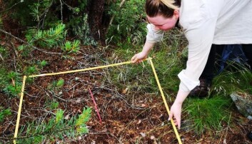 Mari Elisabeth Engelstad under feltarbeidet, som foregikk på Hvaler. Mari Elisabeth Engelstad under feltarbeidet, som foregikk på Hvaler.
