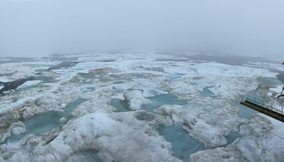 Isflaket MOSAiC-ekspedisjonen hadde segla i Polhavet med sidan ifjor braut opp i juli – no leiter dei etter eit nytt!