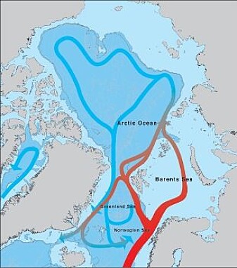 Havstraumane rundt Polhavet Havstraumane rundt Polhavet