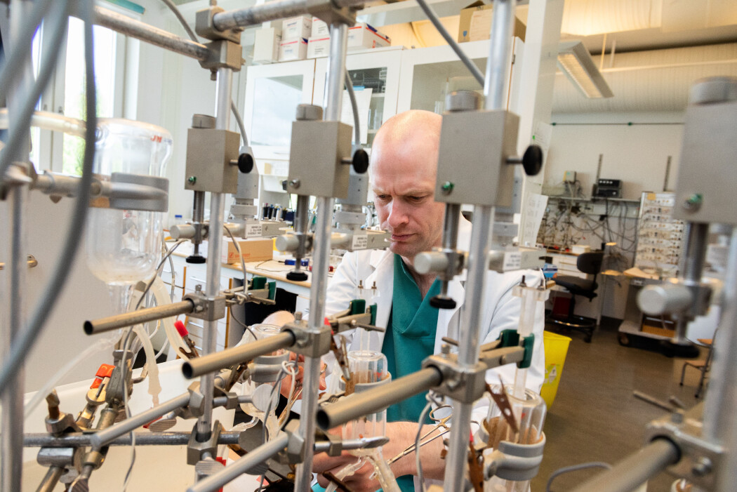 I dette sinnrike apparatet kan Jan Magnus Aronsen teste hvordan endret konsentrasjon av kalium påvirker pumpefunksjonen og den elektriske stabiliteten til levende muskelbiter. Her undersøker han både hjertemuskler fra dyr og mennesker. Hjertemusklene fra mennesker fås når pasienter donerer bort det syke hjertet sitt fra en hjertetransplantasjon. I dette sinnrike apparatet kan Jan Magnus Aronsen teste hvordan endret konsentrasjon av kalium påvirker pumpefunksjonen og den elektriske stabiliteten til levende muskelbiter. Her undersøker han både hjertemuskler fra dyr og mennesker. Hjertemusklene fra mennesker fås når pasienter donerer bort det syke hjertet sitt fra en hjertetransplantasjon.