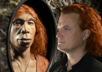 "Hadde neandertalerne røde lokker? (Foto: Michael Hofreiter and Kurt Fiusterweier/MPG EVA)" "Hadde neandertalerne røde lokker? (Foto: Michael Hofreiter and Kurt Fiusterweier/MPG EVA)"