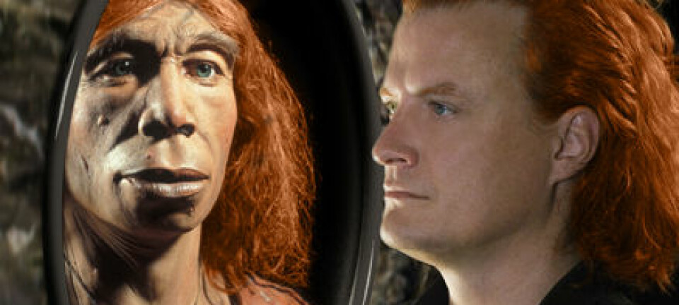 "Hadde neandertalerne røde lokker? (Foto: Michael Hofreiter and Kurt Fiusterweier/MPG EVA)"