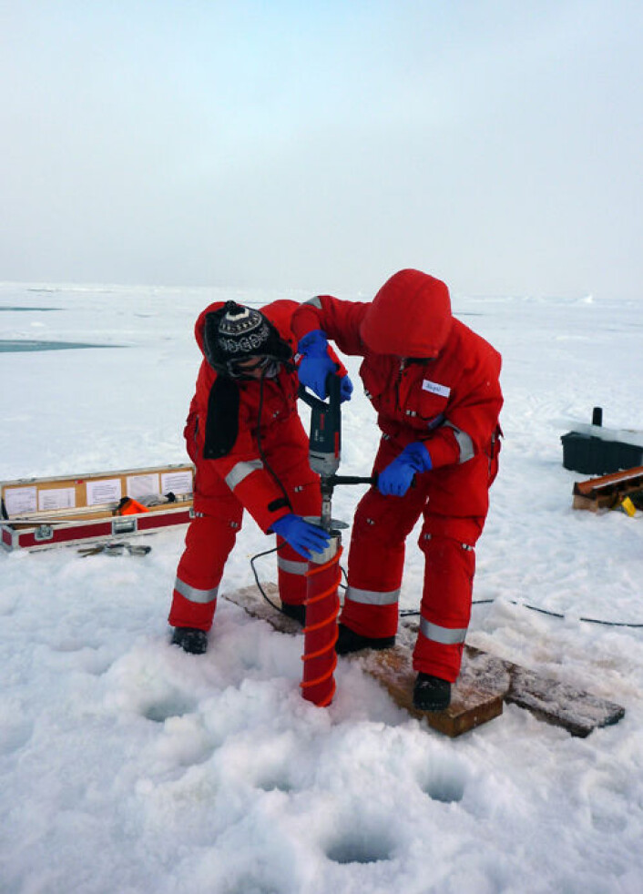 Forskere tar prøver ved å drille gjennom sjøisen (Foto: Mar Fernández-Méndez, Alfred Wegener Institute) Forskere tar prøver ved å drille gjennom sjøisen (Foto: Mar Fernández-Méndez, Alfred Wegener Institute)