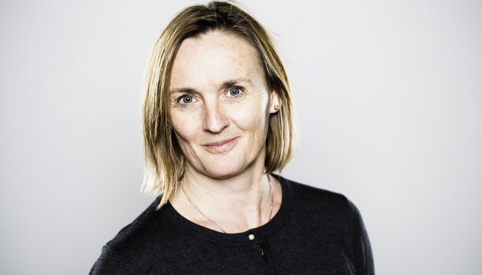 Professor Elin Børrud forsker på praksisnær undervisning med utstrakt bruk av gruppearbeid og tverrfaglig samarbeid.