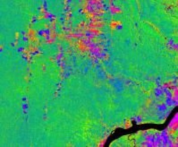 "Satellittbilde av Perus regnskog. Blå og røde områder er berørt av menneskelig aktivitet" "Satellittbilde av Perus regnskog. Blå og røde områder er berørt av menneskelig aktivitet"