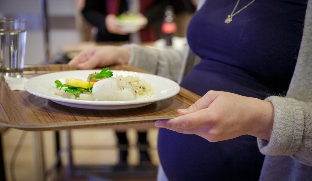 Til sammen har 137 gravide deltatt i Mammas mat-studien. Etter spiseforsøket var over, hadde fiskegruppen økt sin jodstatus, mens kontrollgruppen gikk ned. Til sammen har 137 gravide deltatt i Mammas mat-studien. Etter spiseforsøket var over, hadde fiskegruppen økt sin jodstatus, mens kontrollgruppen gikk ned.