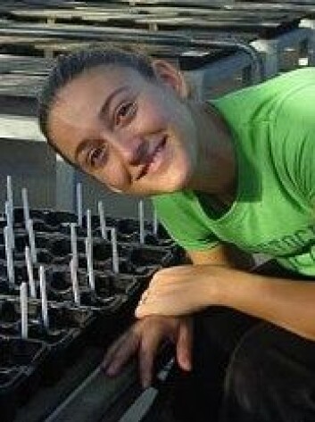 Monica Gigliano har undersøkt om planter kan påvirke hverandres vekst uten kjemisk eller fysisk kontakt. (Foto: The University of Western Australia) Monica Gigliano har undersøkt om planter kan påvirke hverandres vekst uten kjemisk eller fysisk kontakt. (Foto: The University of Western Australia)