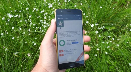 Appen Artsorakel gir deg navnet på blomster og dyr Appen Artsorakel gir deg navnet på blomster og dyr