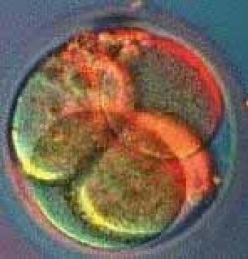 "Et embryo." "Et embryo."