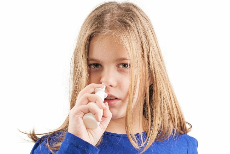 Når mus får gliadin i nesespray, får de lavere risiko for type 1-diabetes. Forskerne håper at de kan utvikle en lignende kur til barn med høy risiko for å utvikle sykdommen. (Foto: Baronb, Microstock)