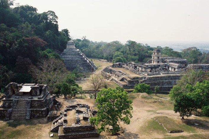 Forskere har funnet spor av maya-sivilisasjonens bruk av naturressurser i genene til en sjelden art elveskilpadde. Bildet viser en mayaby i Mexico. (Foto: iStockphoto) Forskere har funnet spor av maya-sivilisasjonens bruk av naturressurser i genene til en sjelden art elveskilpadde. Bildet viser en mayaby i Mexico. (Foto: iStockphoto)